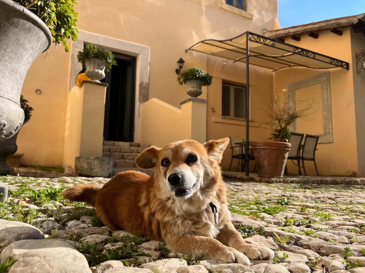 Agriturismo Castello Santa Margherita Cori Esterno foto